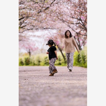 秋山諒輔が撮影したウェディングや家族、ビジネスの写真