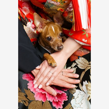 Photo of :albumName taken by Smilehunter