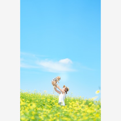 Tempstendreが撮影した「:albumName」の写真