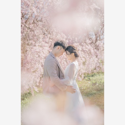 Photo of pre-spring photo taken by スタジオアルパルカ