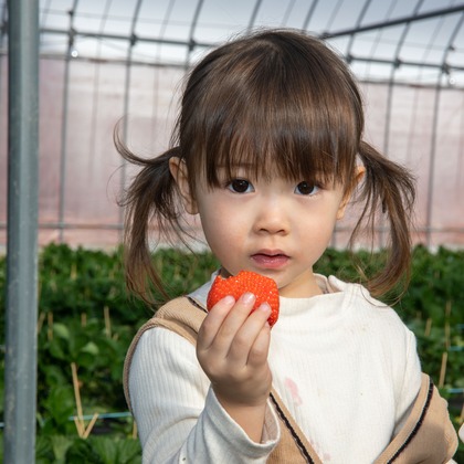 岩坪眞一郎が撮影した「:albumName」の写真