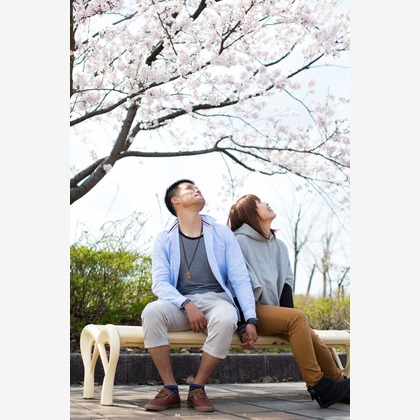 studio HATOYAが撮影した「:albumName」の写真