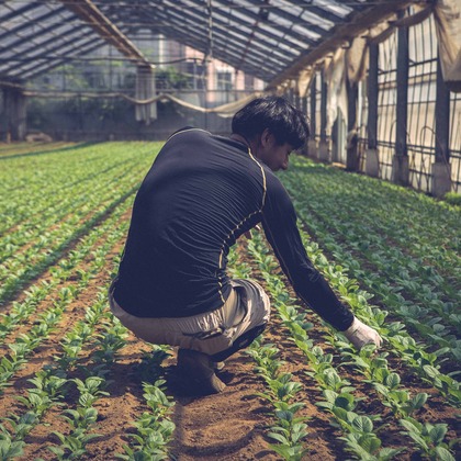 Sunstore 三條康貴が撮影した「:albumName」の写真