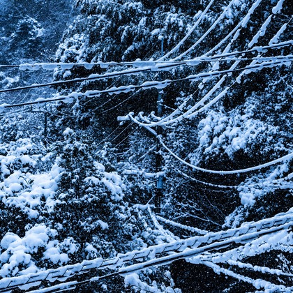 久保田　有一が撮影した「:albumName」の写真