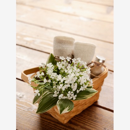 谷崎 春彦（T-Studio）が撮影した「:albumName」の写真