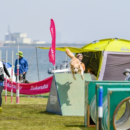 スタジオファンタスが撮影した「:albumName」の写真