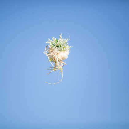 Tomi Photo Studioが撮影したウェディングや家族、ビジネスの写真