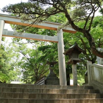 出張撮影のメモリーズが撮影した「:albumName」の写真