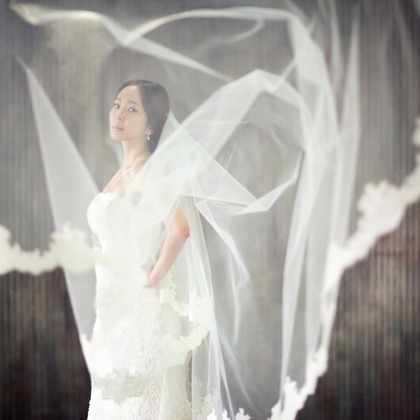 Photo of  taken by Wedding Howl 