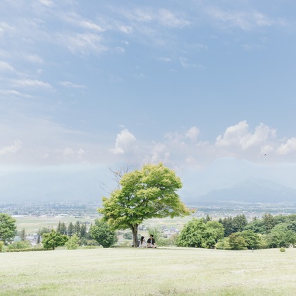 光画堂スタジオが撮影したウェディングや家族、ビジネスの写真