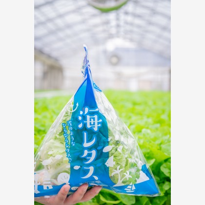 早川麗華が撮影した「:albumName」の写真