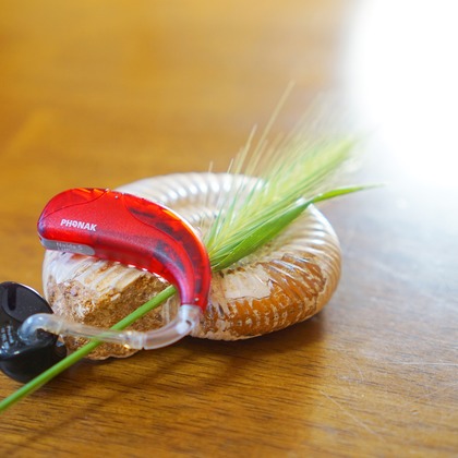 出張撮影のメモリーズが撮影した「:albumName」の写真