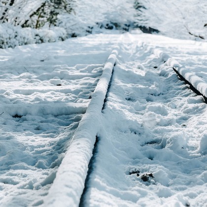 三谷 朋也が撮影した「:albumName」の写真