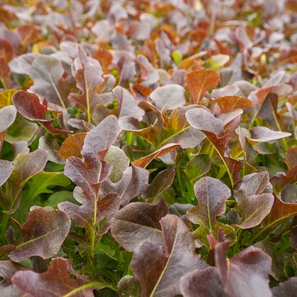 出張撮影TLaboが撮影した店舗/オフィス/サロン撮影/商品/物撮りの写真