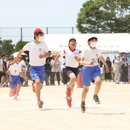 HARAデザインが撮影したウェディングや家族、ビジネスの写真