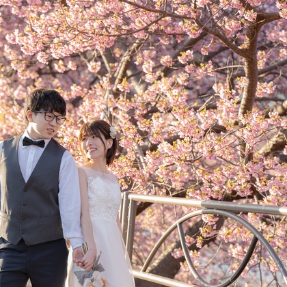 石田誠写真事務所が撮影した「:albumName」の写真