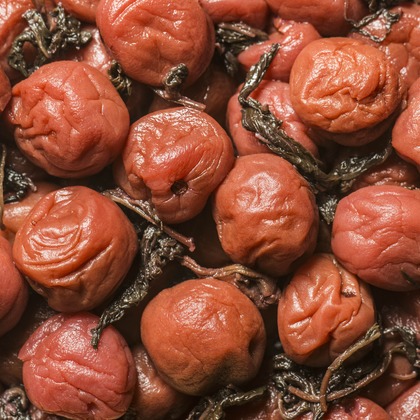 スタジオ11が撮影した「:albumName」の写真