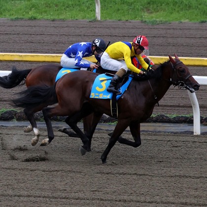 ms photoが撮影したイベント/スナップ撮影の写真