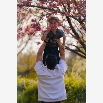 秋山諒輔が撮影したウェディングや家族、ビジネスの写真
