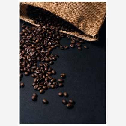 中澤紘大が撮影した「:albumName」の写真