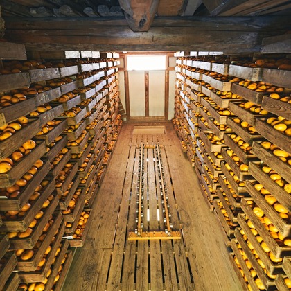 大橋裕紀が撮影したイベント/スナップ撮影/商品/物撮り/人物撮影の写真