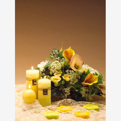 谷崎 春彦（T-Studio）が撮影した「:albumName」の写真