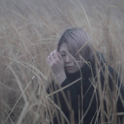 ならもとかずやが撮影した「:albumName」の写真