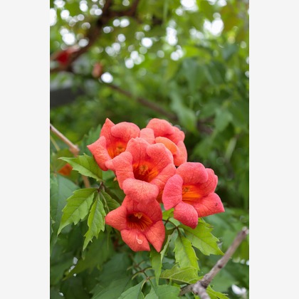 RETRIN株式会社が撮影した「:albumName」の写真