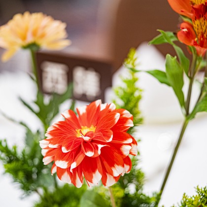 スタジオ11が撮影した「その他」のウェディングフォト - :albumName