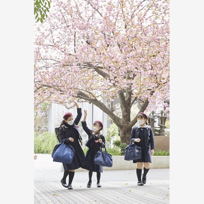 bluevalleyが撮影したその他の写真