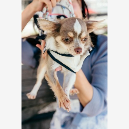 ポートレート沖縄が撮影した「:albumName」の写真