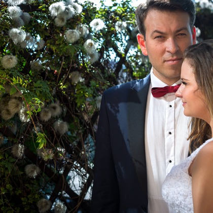 Photo of :albumName taken by Wedding Photography Dubai