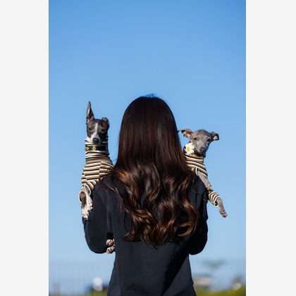 T.Matsumuraが撮影したイベント/スナップ撮影の写真