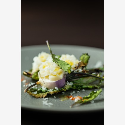 𠮷岡銀河が撮影した「:albumName」の写真