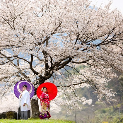 KIKIウェディングが撮影した「:albumName」の写真