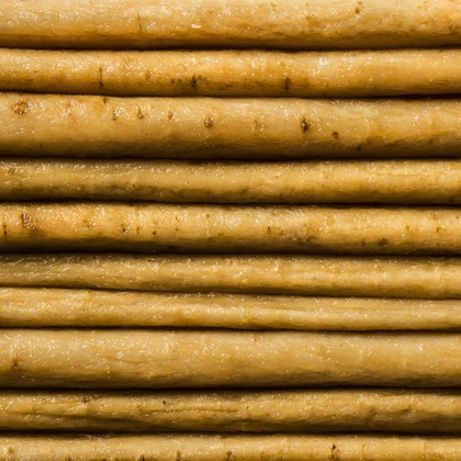 スタジオ11が撮影した「:albumName」の写真