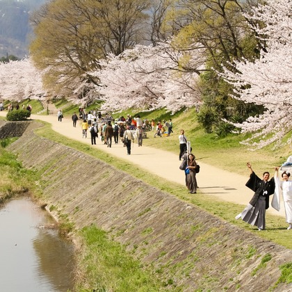 Photo of :albumName taken by Smilehunter