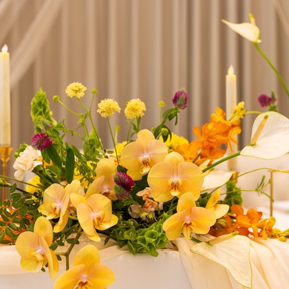 内海　利彦が撮影したその他/結婚式撮影の写真