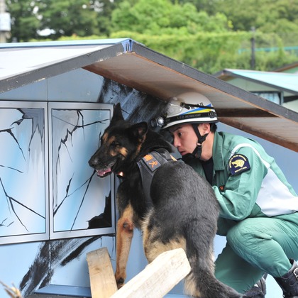 ハギワラトモヒトが撮影した「:albumName」の写真