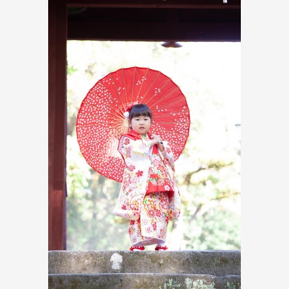 品川写真事務所が撮影した「:albumName」の写真