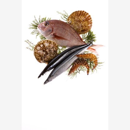 クマが撮影したウェディングや家族、ビジネスの写真