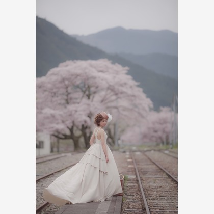  グラフィーズが撮影したウェディングや家族、ビジネスの写真