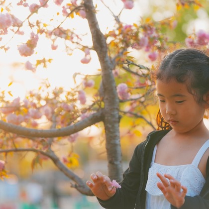 秋山諒輔が撮影したウェディングや家族、ビジネスの写真