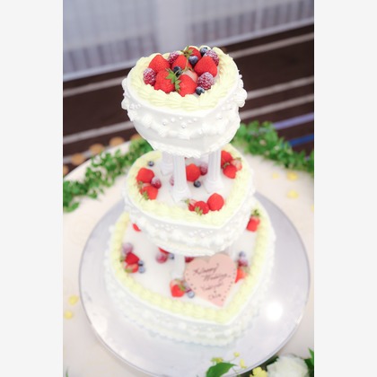 Wedding, Bridal Photos taken by studio HATOYA