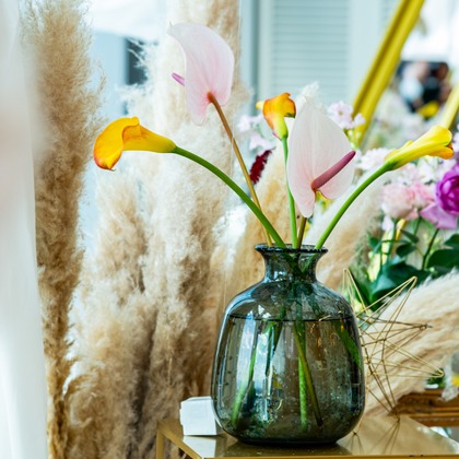 スタジオファンタスが撮影した「:albumName」の写真