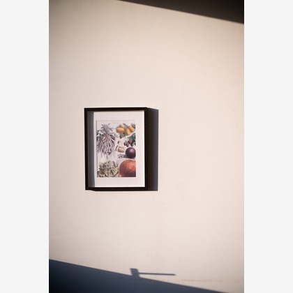 Aurora Photographyが撮影した「:albumName」の写真