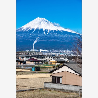 スタジオファンタスが撮影した「:albumName」の写真