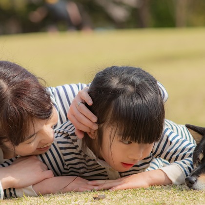 上ノ園　芳樹が撮影した「:albumName」の写真