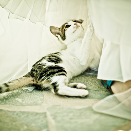 Photo of Santorini shooting taken by Magdalene Kourti