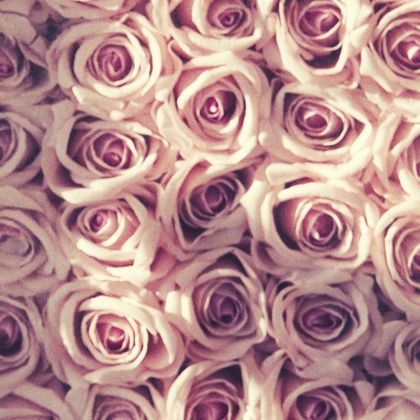 エビスフィルムが撮影した料理撮影の写真